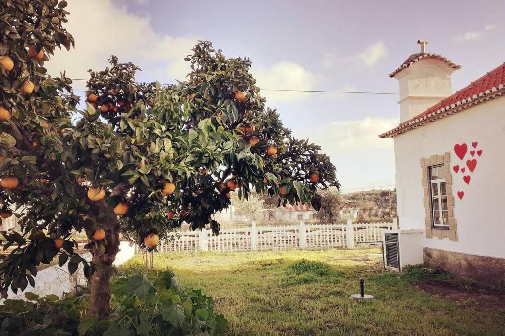 Casa Dos Coracoes - Turismo Regenerativo Apartment Beira ภายนอก รูปภาพ